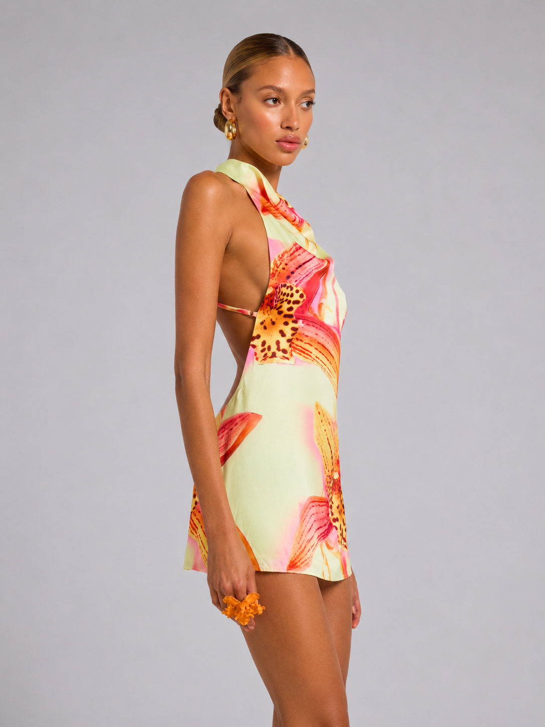 Isola Bloom Dress